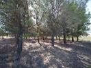 For sale Land Paraza  11200 1179 m2