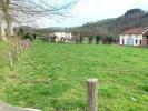 Annonce Vente Terrain Villers