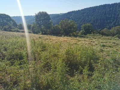 For sale Land LANTEUIL  19
