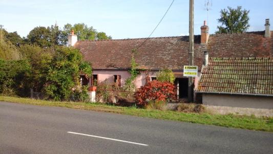 photo For sale Prestigious house PIERREFITTE-SUR-LOIRE 03