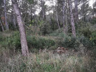 photo For sale Land CARNOULES 83