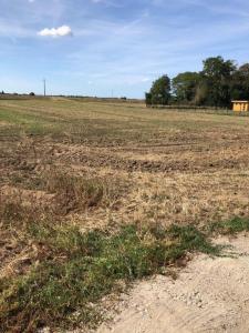 For sale Land JARGEAU  45