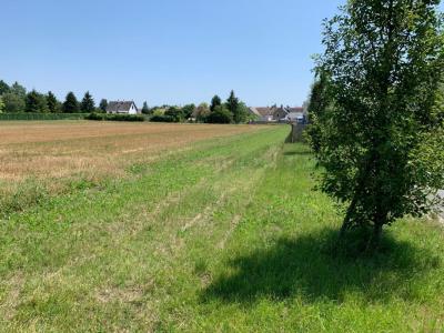 photo For sale Land CHAINGY 45