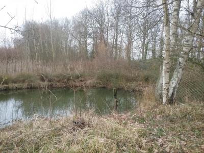 For sale Land DOUE  77