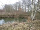 For sale Land Doue  77510 15500 m2