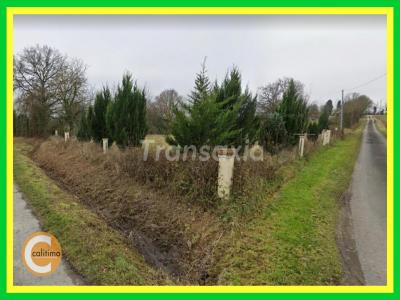 photo For sale Land SELLES-SUR-NAHON 36