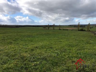 photo For sale Land GENEVREY 70