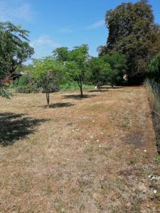 photo For sale Land BRENS 81