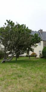 photo For sale House OUESSANT 29