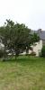 For sale House Ouessant  29242 97 m2 5 rooms