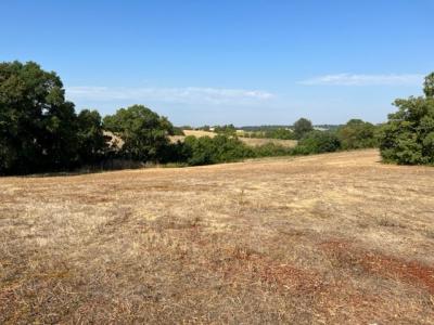 photo For sale Land GIMONT 32