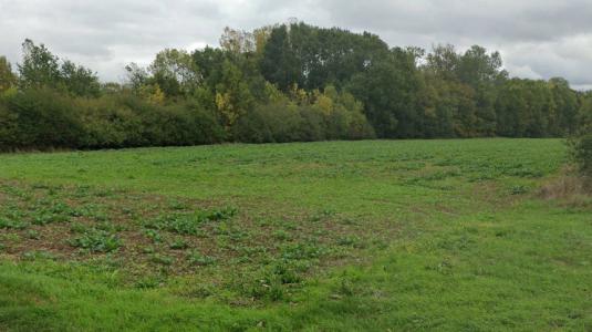 For sale Land CHAPELLE-GAUTHIER  77