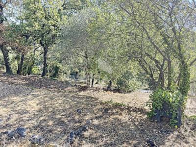 photo For sale Land GAUDE 06
