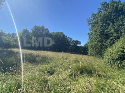 photo For sale Land PUYLAGARDE 82