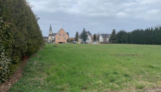 For sale Land KEMBS  68