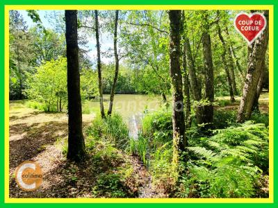 Vente Maison AUBIGNY-SUR-NERE 