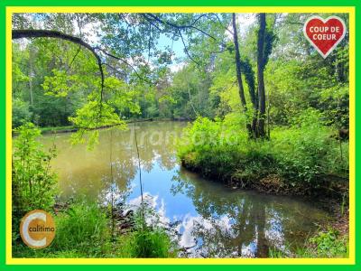 For sale House AUBIGNY-SUR-NERE 