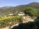 House BORMES-LES-MIMOSAS 