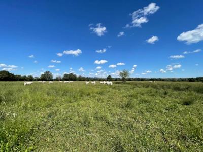 photo For sale Land BOURGES 18