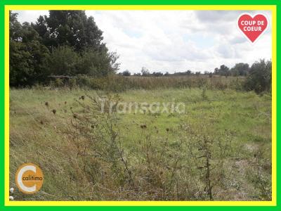 photo For sale Land LIMEUX 18