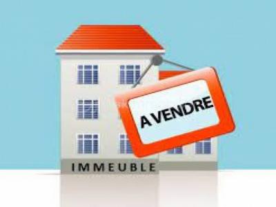 Vente Immeuble SAUJON 17600