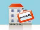 Vente Immeuble Saujon 17