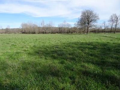 photo For sale Land BETAILLE 46