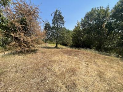 For sale Land VARS-SUR-ROSEIX  19