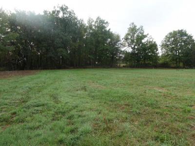 photo For sale Land PONCINS 42