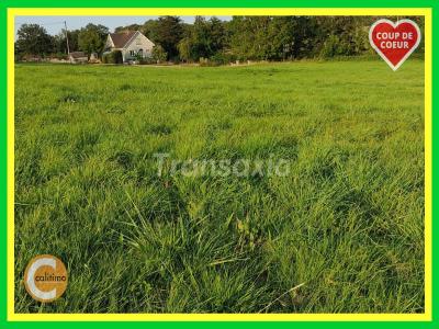 For sale Land SAINT-MENOUX  03