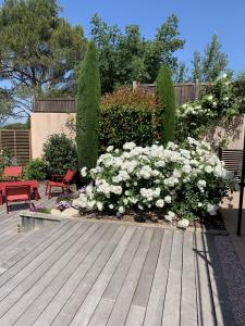 For sale House MALLEMORT