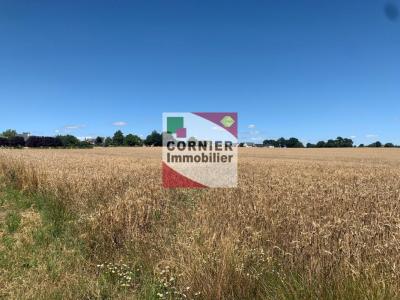 For sale Land DOMAGNE  35