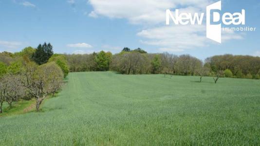 photo For sale Land BEYNAT 19