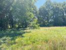 For sale Land Terrasson-lavilledieu  24120