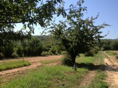 photo For sale Land LORGUES 83