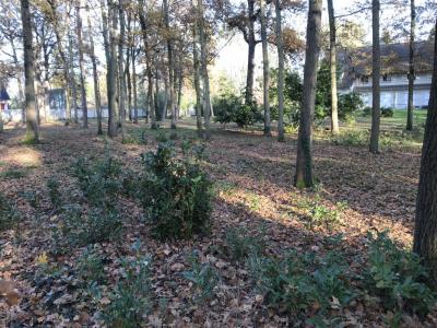 photo For sale Land MILLY-LA-FORET 91