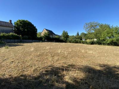 For sale Land LUC  12