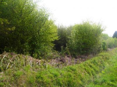 Vente Maison PLOERDUT 