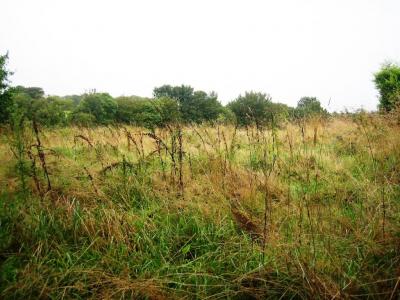 photo For sale Land LOCMALO 56