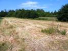 Acheter Terrain 4181 m2 Guemene-sur-scorff