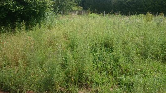photo For sale Land LINAS 91