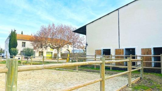 photo For sale Prestigious house AVIGNON 84