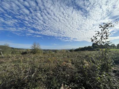 Vente Terrain VIGNOLS 19130