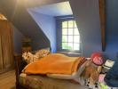 Prestigious house PLUVIGNER 
