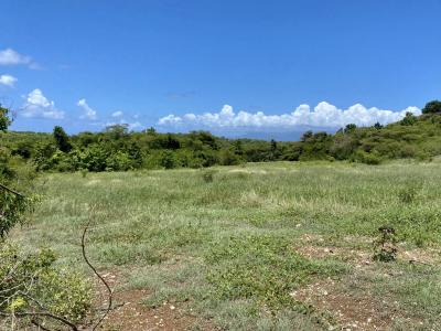 photo For sale Land GOSIER 971
