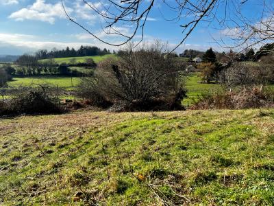 photo For sale Land SAINT-MEXANT 19