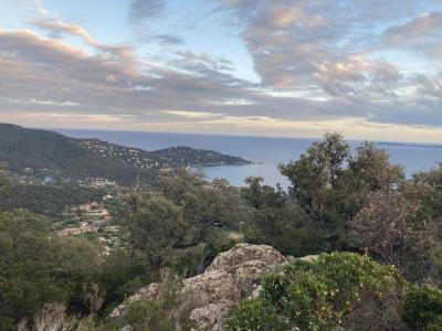 Vente Terrain LAVANDOU 83980