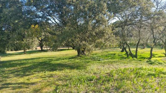 photo For sale Land UZES 30