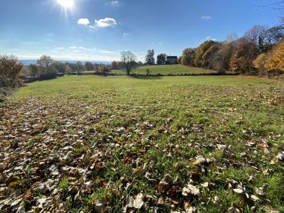 photo For sale Land SAINTE-FEREOLE 19