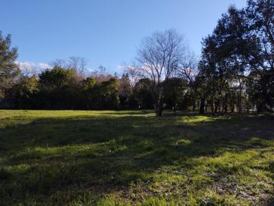 For sale Land NOE  31